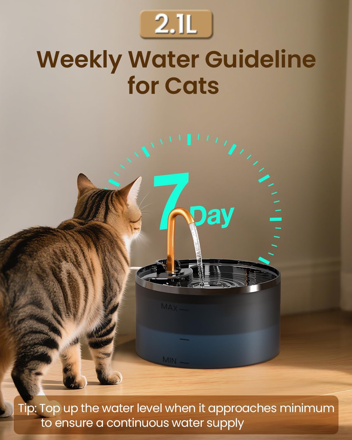The Taili Flow Fountain